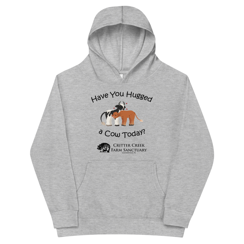 Have You Hugged A Cow Today Youth Hoodie