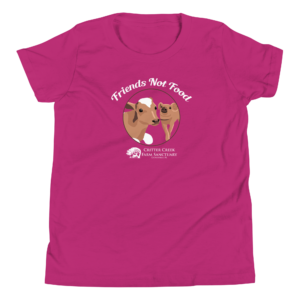 Friends Not Food Youth Tee