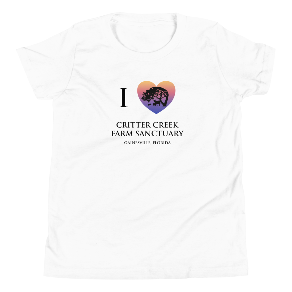 I ❤️ Critter Creek Youth Tee